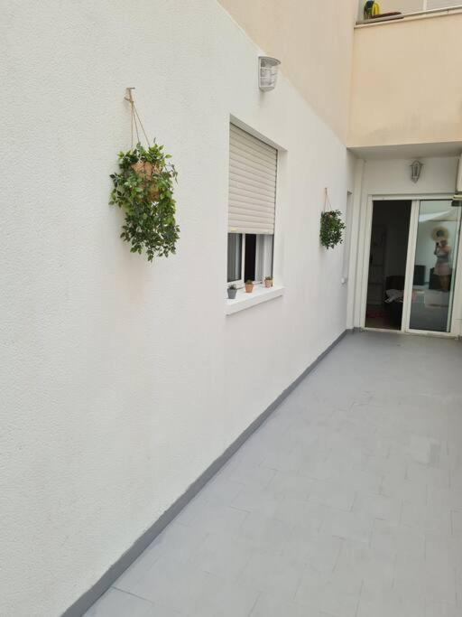 Beautiful Apartment With Patio Торрев'єха Екстер'єр фото